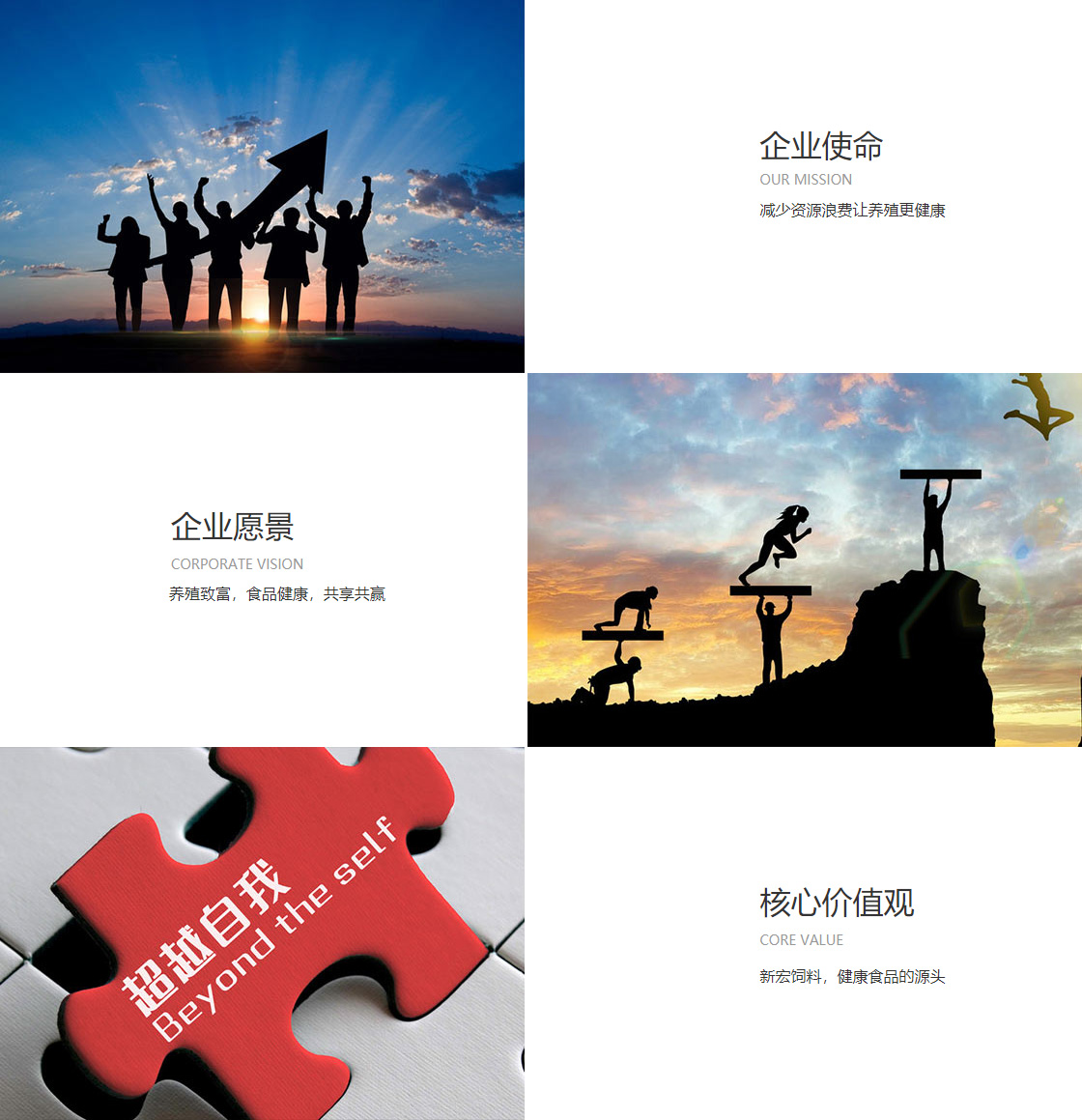 半岛官方网站入口地址(图1)